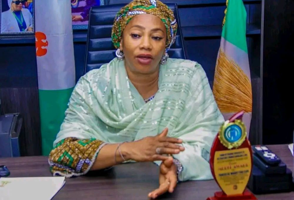 Nasarawa government shuts Lideal Mines Company over alleged security breaches and orders immediate w...