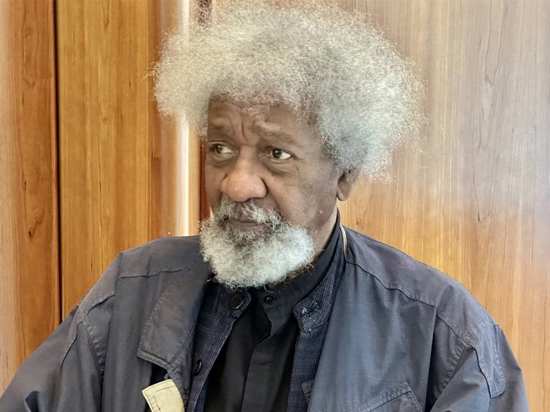 NADECO will honour pro-democracy heroes as Soyinka chairs anniversary event and Opadokun unveils coa...