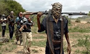US commission says attacks by armed Fulani militants displaced over 1.3 million people across severa...