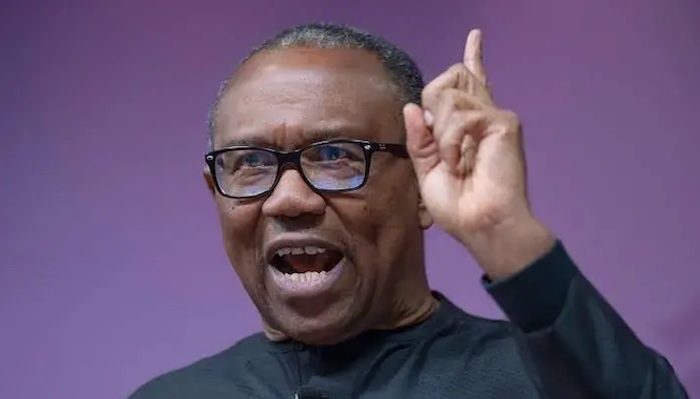 Peter Obi says credible opposition is essential to governance and pledged to prioritise it if electe...