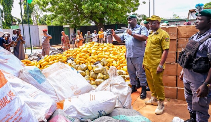 Nigerian Customs intercepts massive contraband including cannabis, rice and oil in intensified anti-...