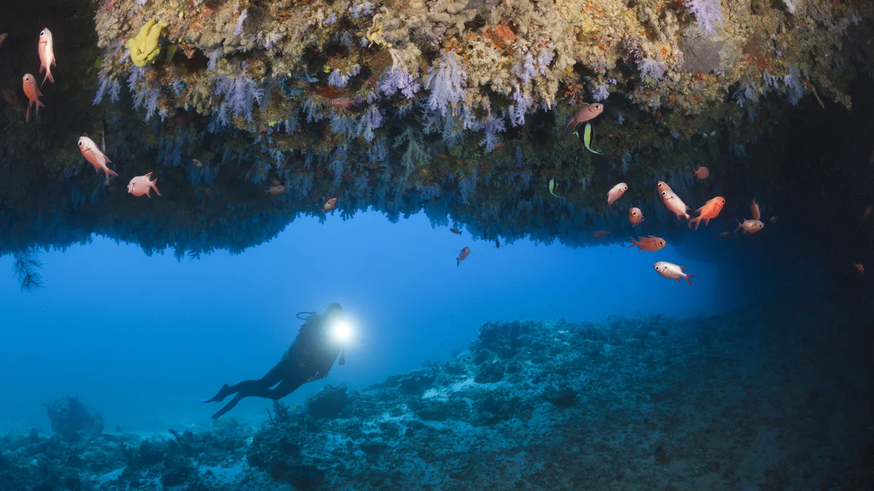 Five Italians, including university researchers and a professor, die during deep cave scuba dive in...