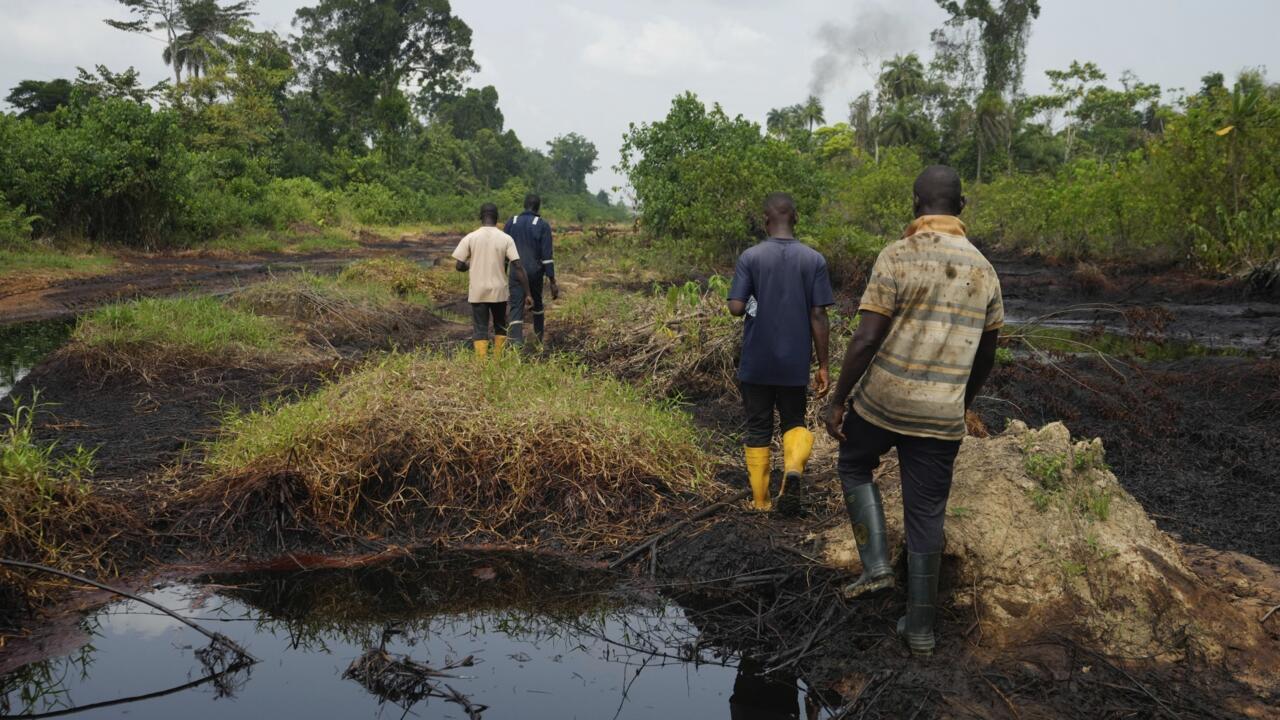 International delegation backs Niger Delta remediation push as HYPREP records 90% mangrove restorati...