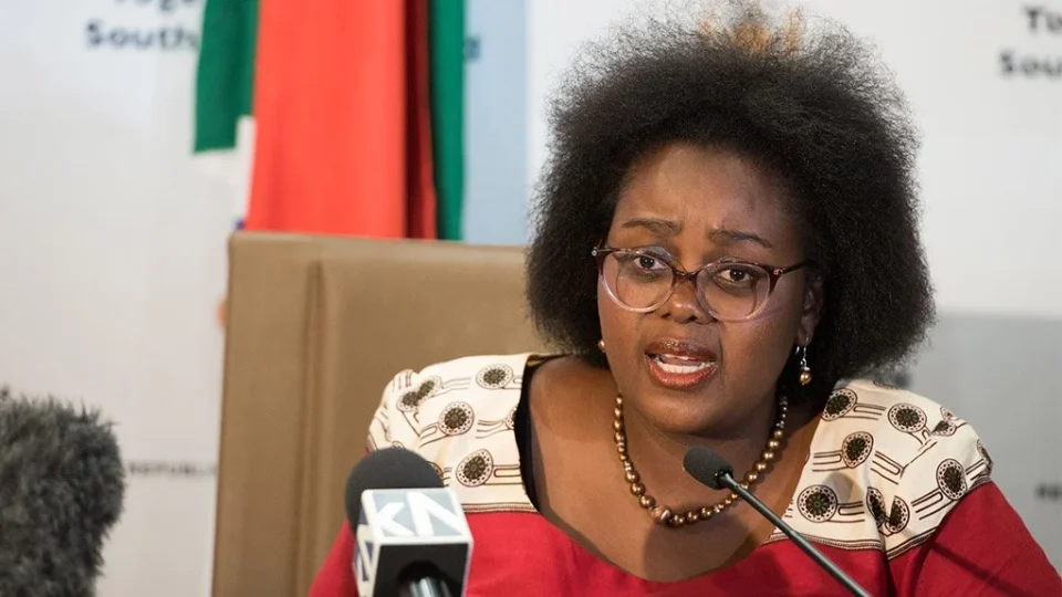 No fewer than 42 South African nationals, who were living in Ireland illegally, have been deported b...