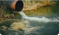By Sola Ogundipe
More than 161 million Nigerians still depend on contaminated water sources, exposi...