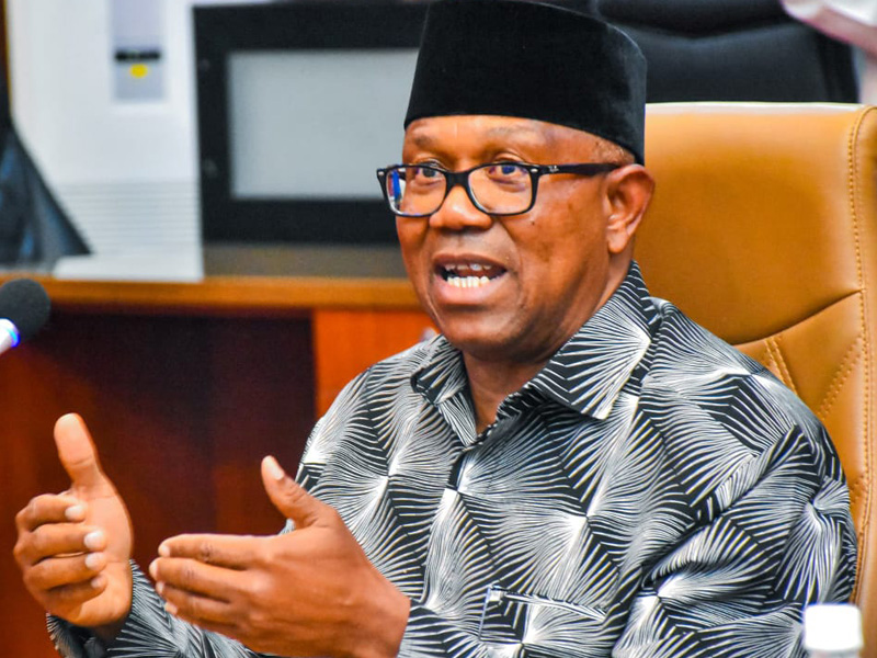 Peter Obi describes court ordered NDC deregistration as a temporary setback, insisting the 2027 miss...