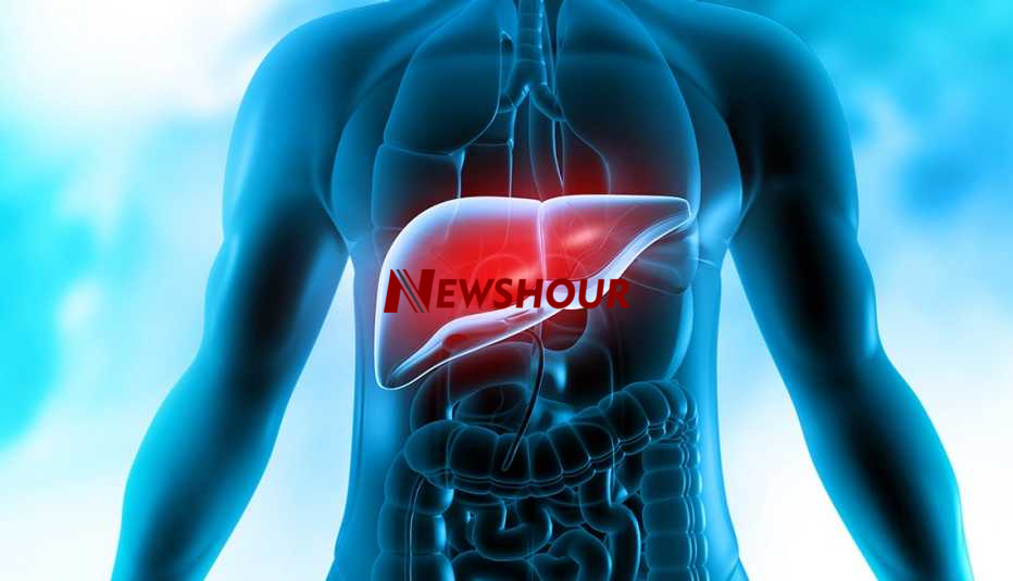 The liver is one of the most important organs in the body, so it is sometimes called the “Father of...