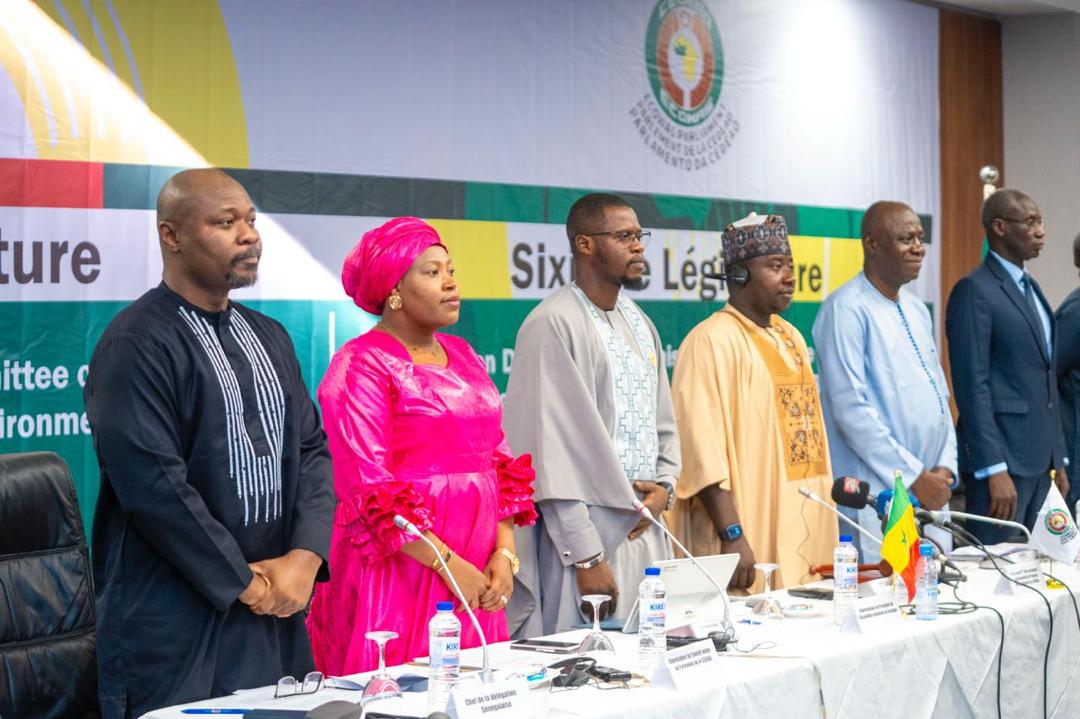 ECOWAS says expanding electricity access is key to reducing poverty and unlocking growth in rural co...