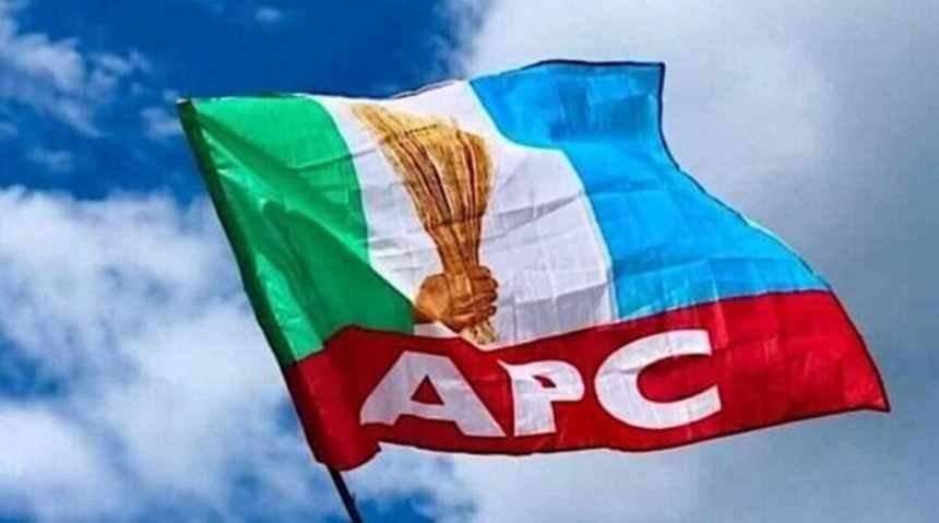 Independent National Electoral Commission (INEC) has declared Prof. Dayo Faduyile of the All Progres...