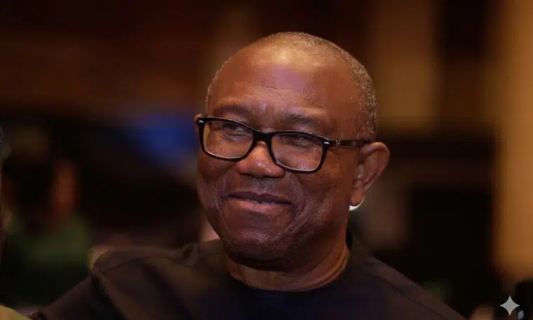 Former Anambra State Governor Peter Obi has shared details about his personal living arrangement, re...