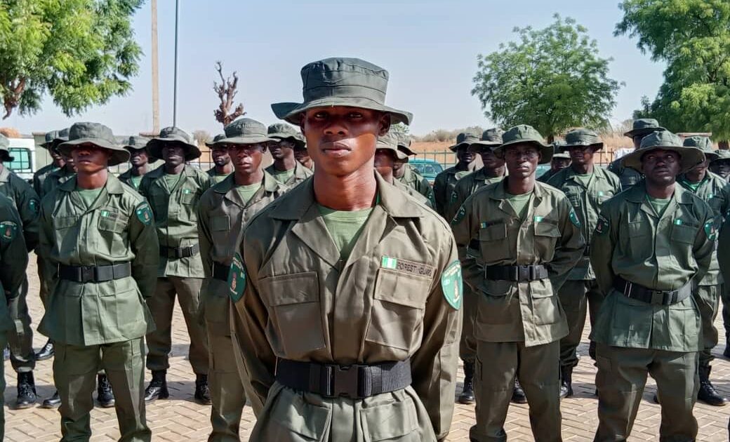 Northern Christian Youth Professionals calls for forest guards in Plateau, warning terrorists use un...