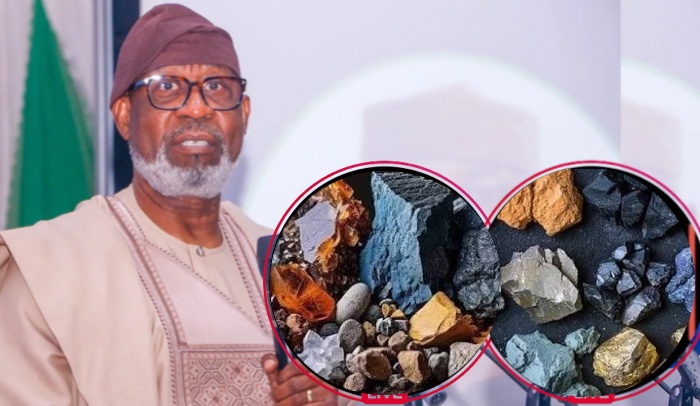 Nigeria announces major mineral discovery in Kaduna, uncovering platinum, lithium and rare earth dep...