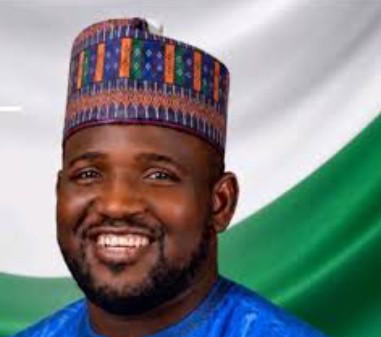 The Independent National Electoral Commission (INEC) has declared the All Progressive Congress (APC)...