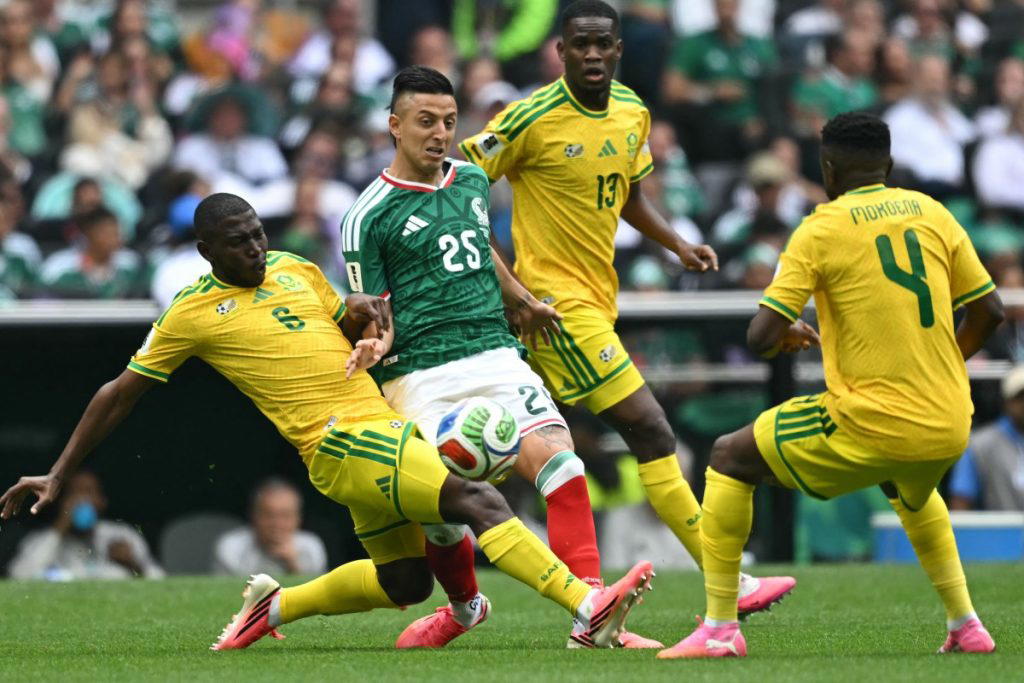 South Africa faced an unusual backlash from fellow African football fans after a 2-0 opening-match l...