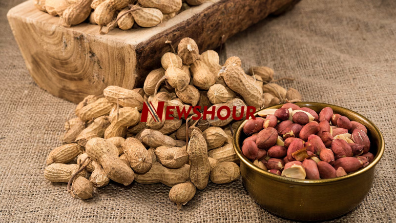 Groundnuts, also known as peanuts, are a rich source of protein, healthy fats, and essential nutrien...