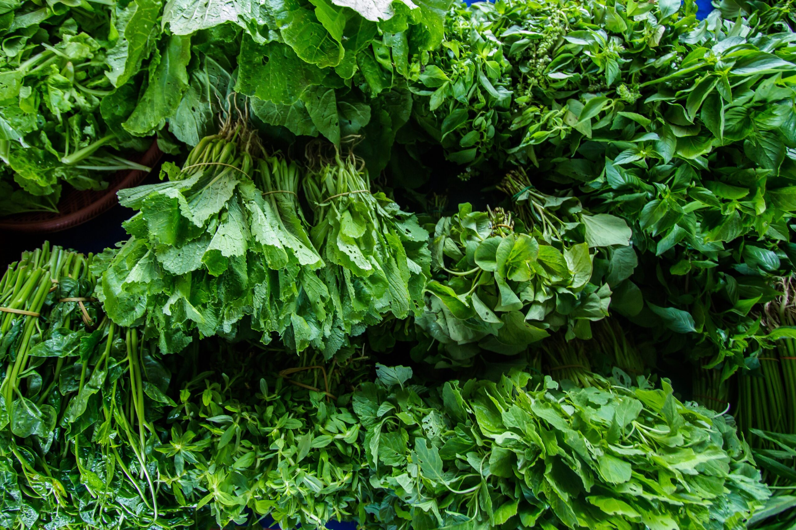 Nature has always been a powerful healer, and some of the most overlooked remedies are found in the...