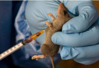 Lassa fever has claimed 214 lives in Nigeria, with the Case Fatality Rate climbing to 25.0 per cent,...