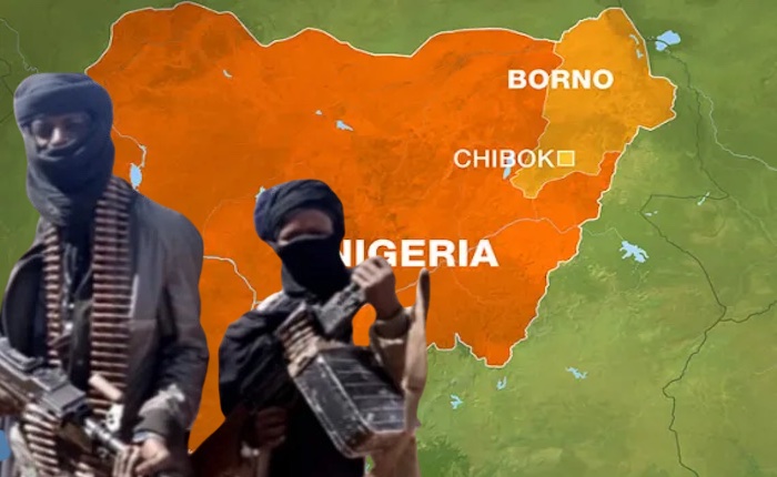 Insurgents set primary and secondary schools ablaze in Borno, raising fresh concerns over attacks on...