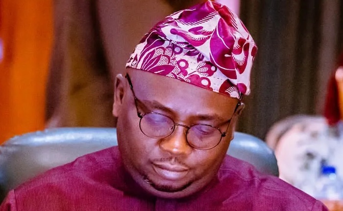 Family confirms abduction of former power minister Adebayo Adelabu’s sister and her twin sons, urge...