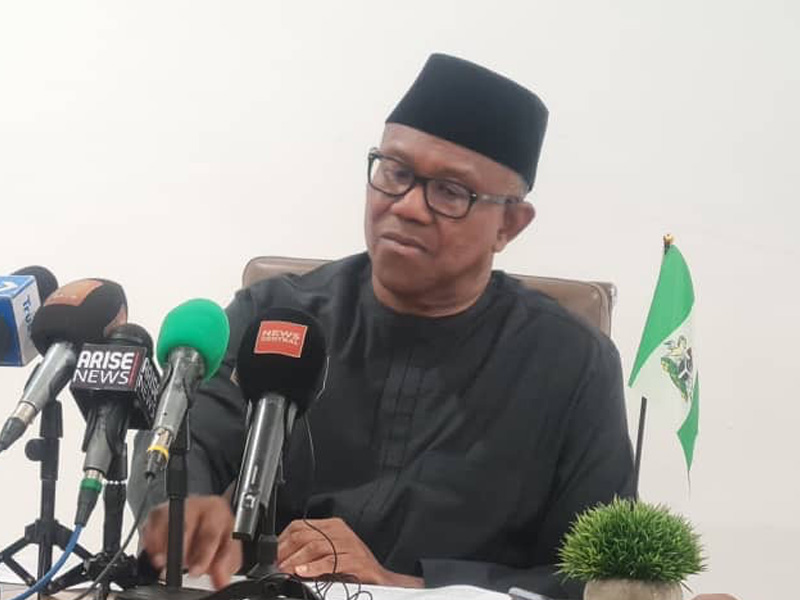 Peter Obi warns rushed state police implementation could undermine democracy, urging postponement un...