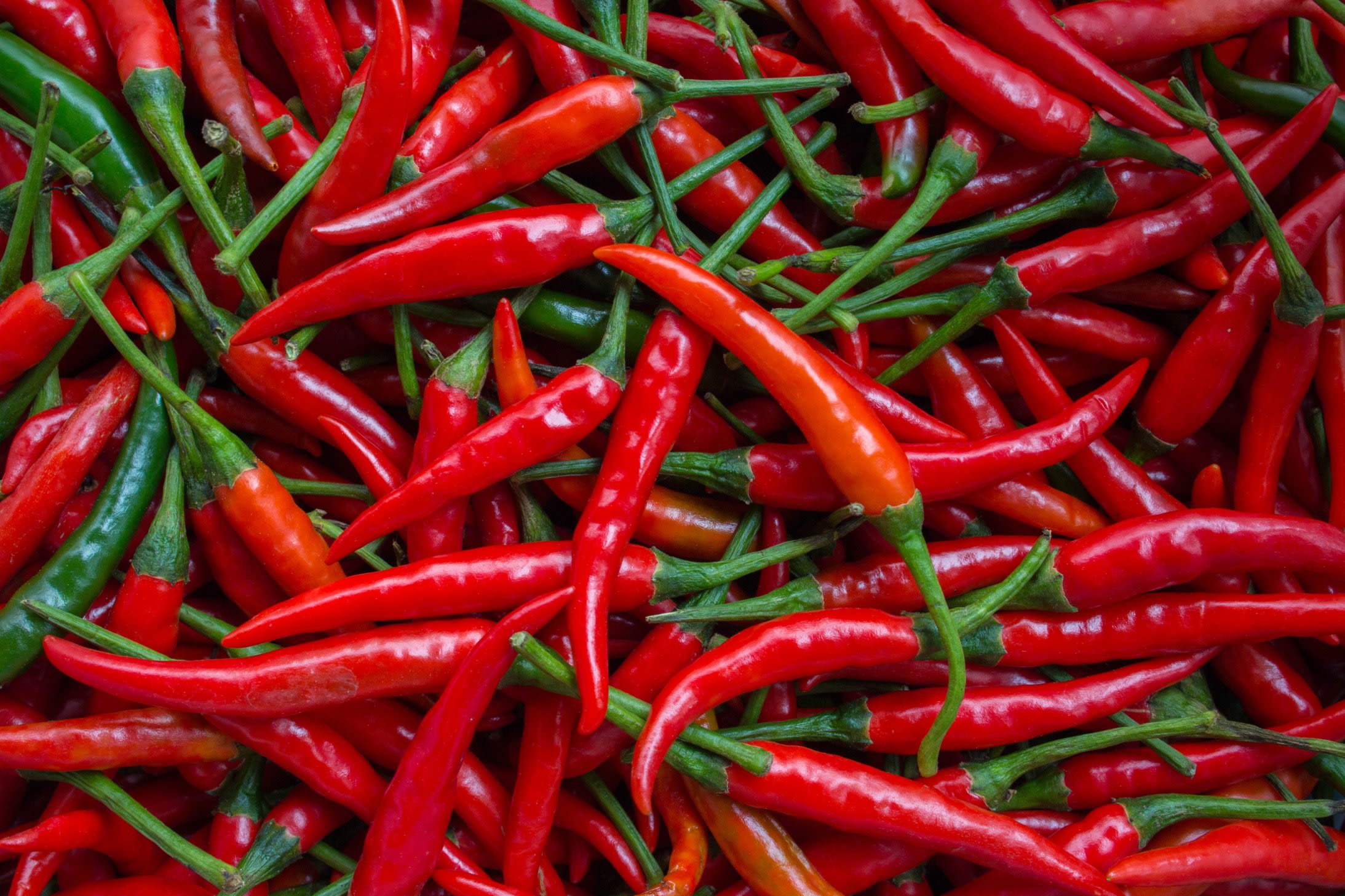 Chillies are more than just a spicy addition to your meals. They contain a powerful compound called...