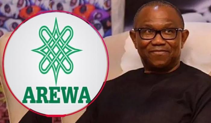 Arewa People’s Forum alleges Peter Obi backed moves to replace NDC primary winner Hassan Grema in Ab...