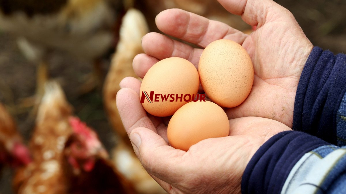The number of eggs older people should eat daily to avoid cholesterol buildup depends on various fac...