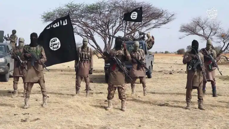 The Federal Government says seven suspected commanders of Boko Haram and the Islamic State West Afri...