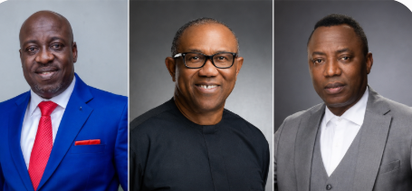 The Nigeria Democratic Congress (NDC), former governor of Anambra State, Peter Obi, activist Omoyele...