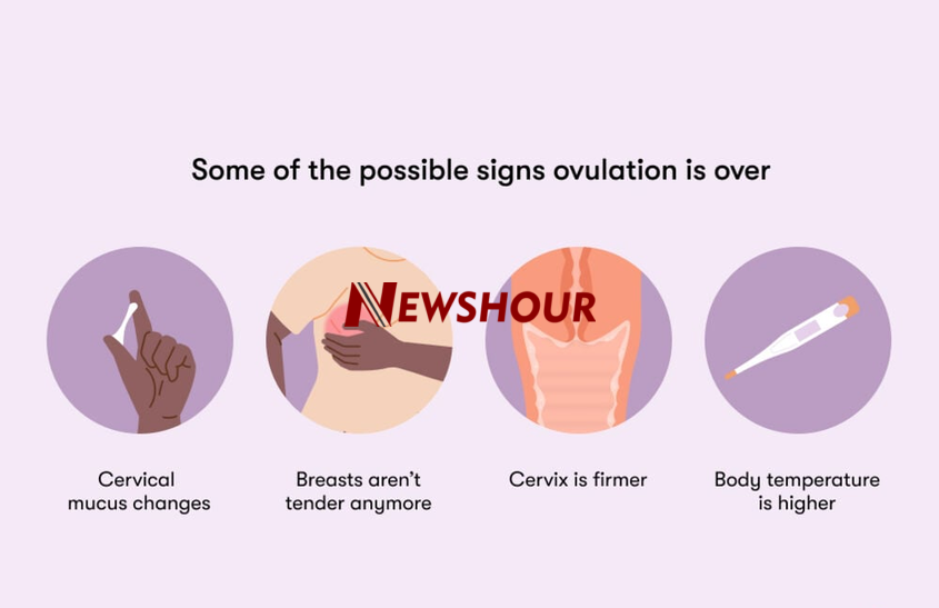 Ovulation is the key moment in a woman’s menstrual cycle when an egg is released from the ovary, mak...