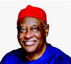 ENUGU — Former National Democratic Coalition (NADECO) activist and pro-democracy advocate, Chief Ral...