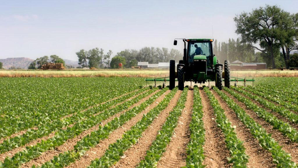 •As farmers, investors lack reliable information
By Cynthia Alo
A new study by the Nigeria Agribu...
