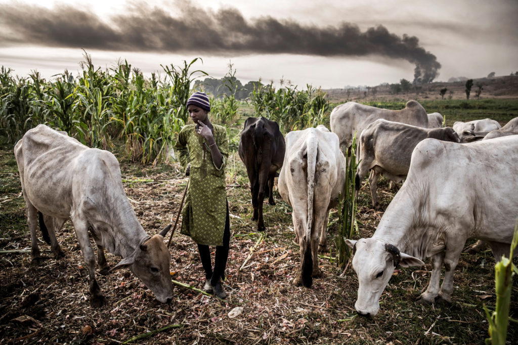 By : Christopher Ameh, Bauchi
Seven lives have been lost to a farmer-herder clash in Lanzai Dosho v...