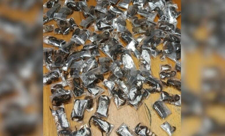 By Enitan Abdultawab
South African authorities have arrested a 28-year-old man after discovering 15...