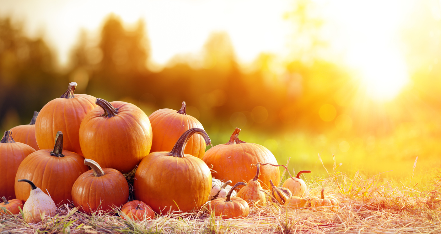 Pumpkin is not just a tasty vegetable; it is packed with nutrients that can help your body in many w...
