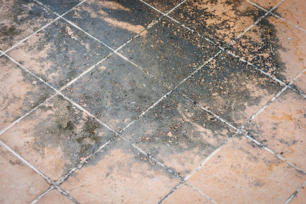 Tiles have become one of the most popular flooring options in modern homes. They are beautiful, easy...