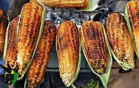 Roasted maize, often enjoyed as a simple yet satisfying street food, holds a special place in many c...