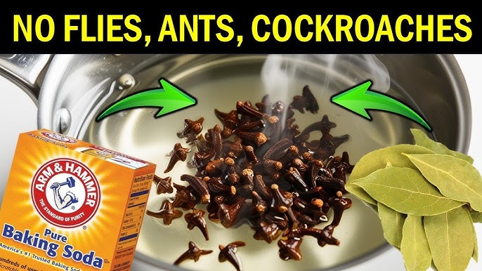 Despite the fact that there are numerous anti-mosquito products available on the market, they contai...