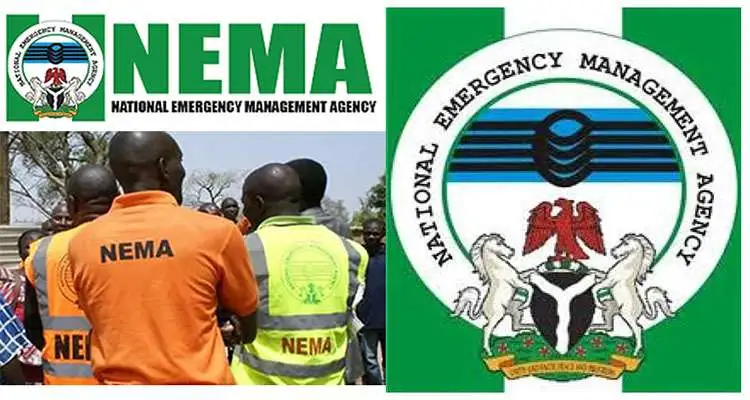 The National Emergency Management Agency (NEMA) has warned that five Local Government Areas (LGAs) i...