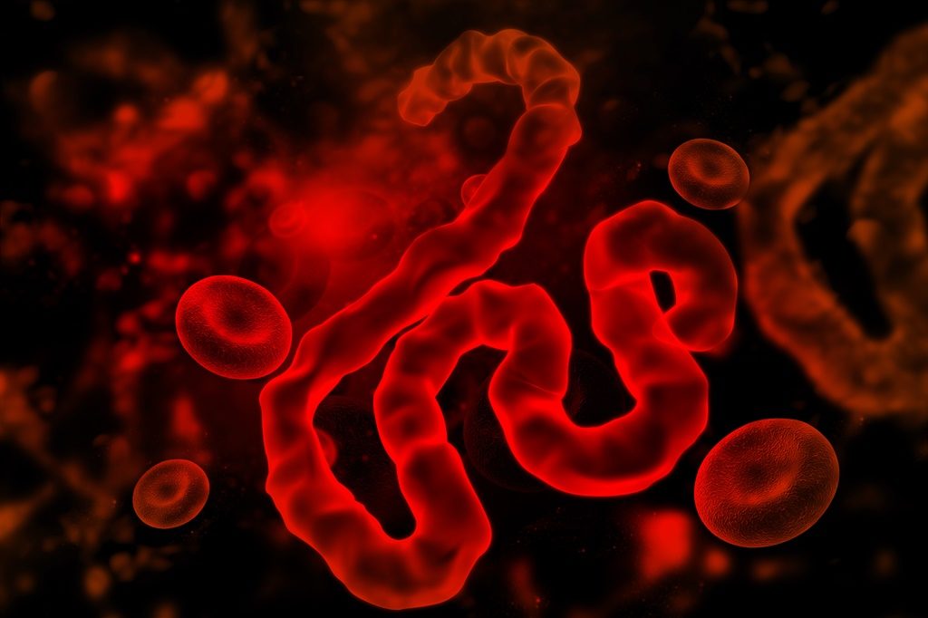 Ebola cases in the Democratic Republic of the Congo have risen to 782, including 178 deaths, as the...