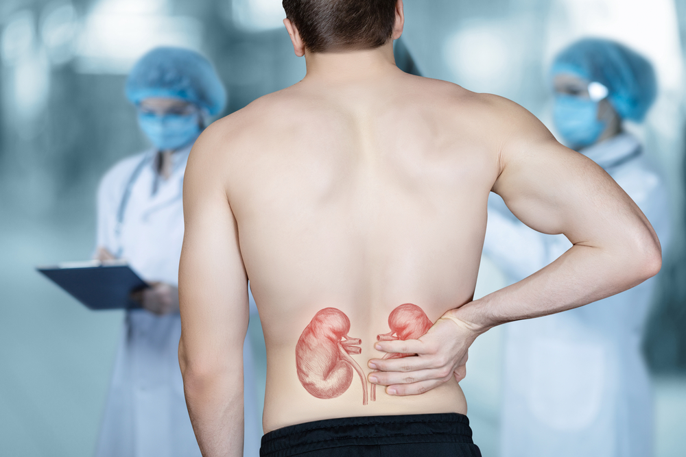 According to MedicalNewsToday, the kidneys are one of the most important systems in the body. They r...