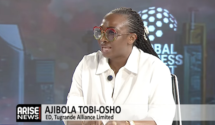 Ajibola Tobi-Osho says borrowing is justified only when funds are used productively to drive sustain...