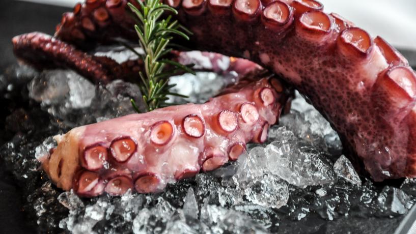 According to reports from the World Health Organization, several plant species create meals that inc...