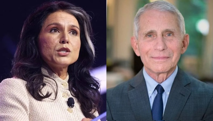 Former intelligence chief Tulsi Gabbard alleges Fauci influenced COVID origin assessments, misled Co...