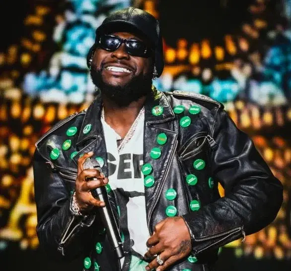 By Enitan Abdultawab
Afrobeats superstar David Adeleke, popularly known as Davido, has fired back a...