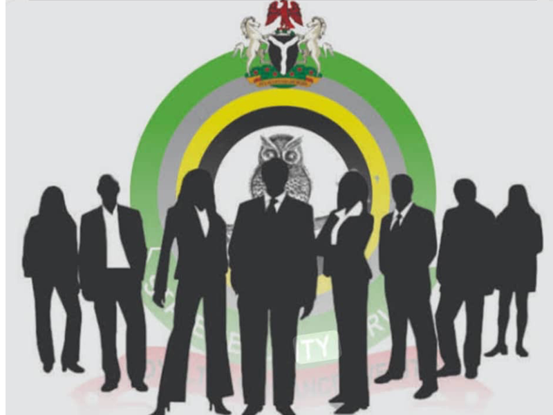 DSS says Sowore's remand followed court processes, announces probe into operatives' conduct during s...