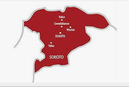 … Recover Livestock, Motorcycles
By Musa Ubandawaki, Sokoto
SOKOTO — A joint security operation in...