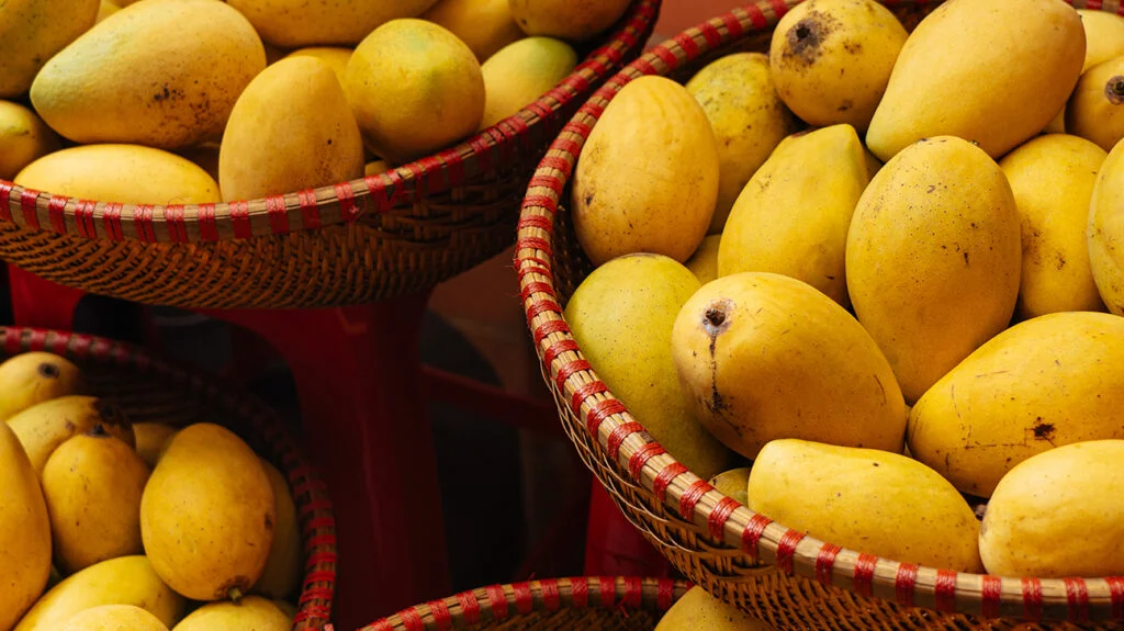 Mangoes aren’t just delicious and refreshing they’re like nature’s little health bombs packed with g...
