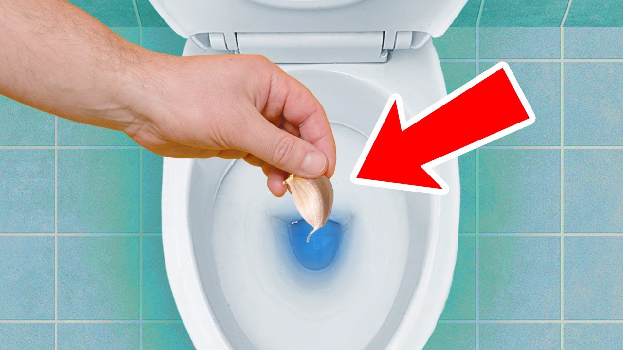It might sound like an old wives’ tale, but dropping a clove of garlic in your toilet at night is a...