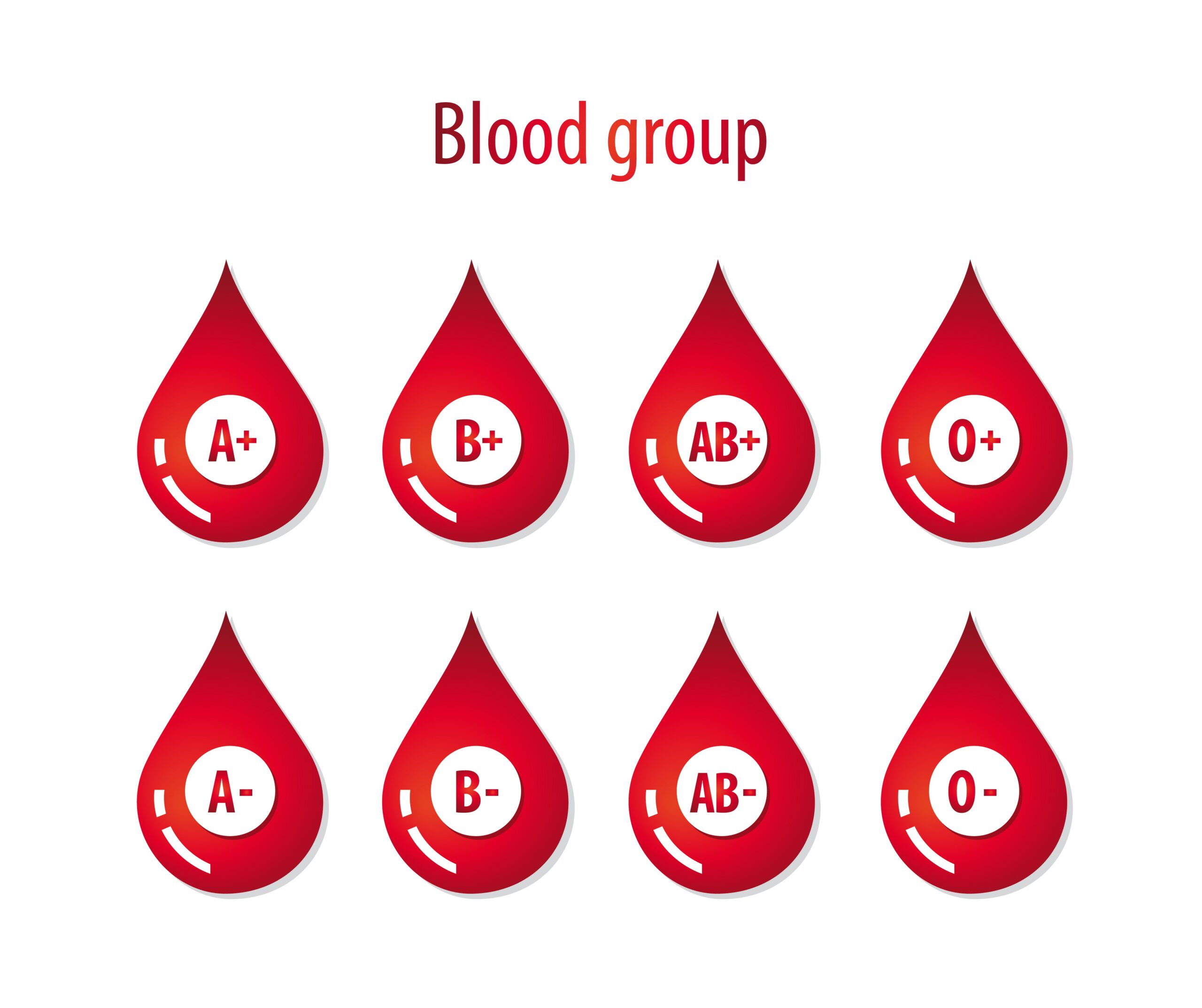 If you belong to blood group O, it’s important to understand that your body has some unique characte...